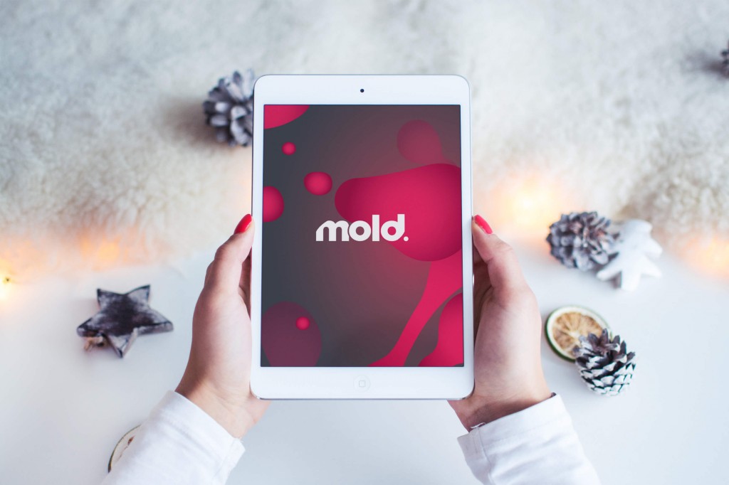 mold_ipad_xmas